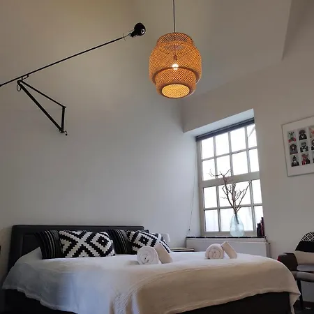 Ruimetelijke Kamer Met Prive Badkamer Gæstehus